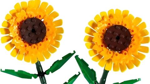 مكعبات Lego تتحول باقات زهور.. في يوم الحب